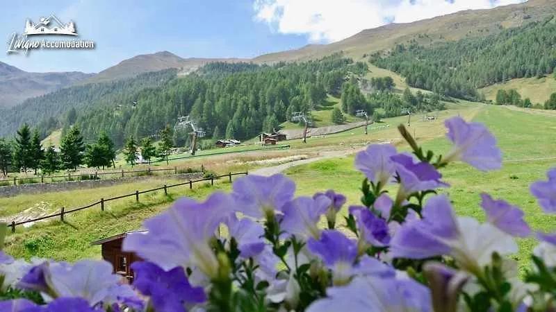 Baita Epi Cusini Vicinissimo alle piste da sci ed al campo da golf Livigno 0*,  Italia