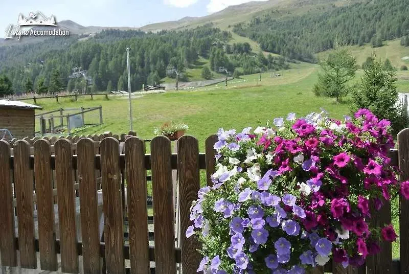 Appartamento Baita Epi Cusini Vicinissimo alle piste da sci ed al campo da golf Livigno Italia