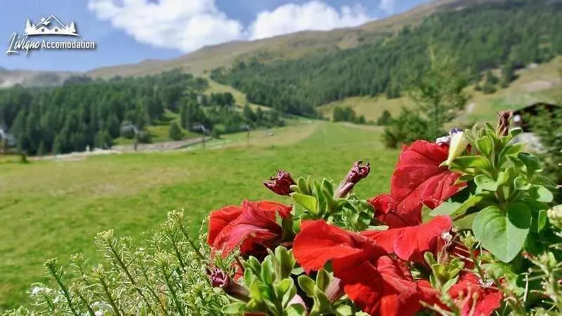 Baita Epi Cusini By Livigno Accomodation Appartement